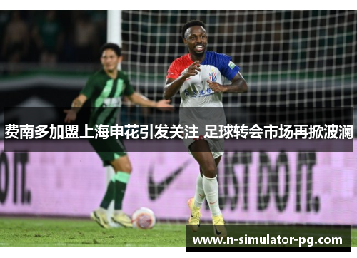 费南多加盟上海申花引发关注 足球转会市场再掀波澜 费南多加盟上海申花引发关注 足球转会市场再掀波澜