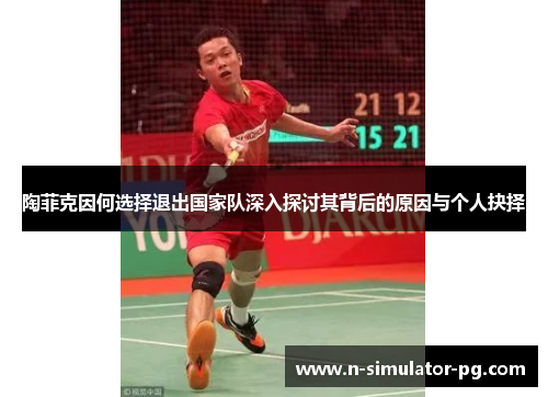 陶菲克因何选择退出国家队深入探讨其背后的原因与个人抉择