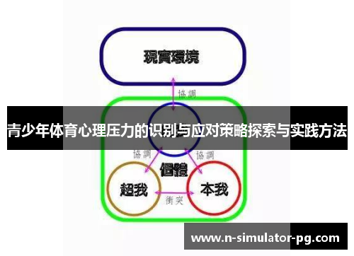 青少年体育心理压力的识别与应对策略探索与实践方法