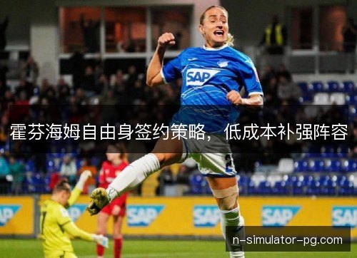 霍芬海姆自由身签约策略，低成本补强阵容